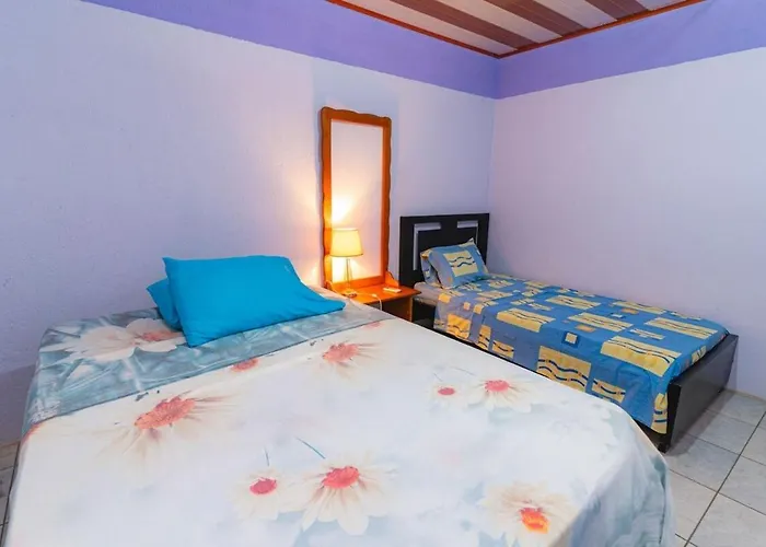 Almendro House Playa *
